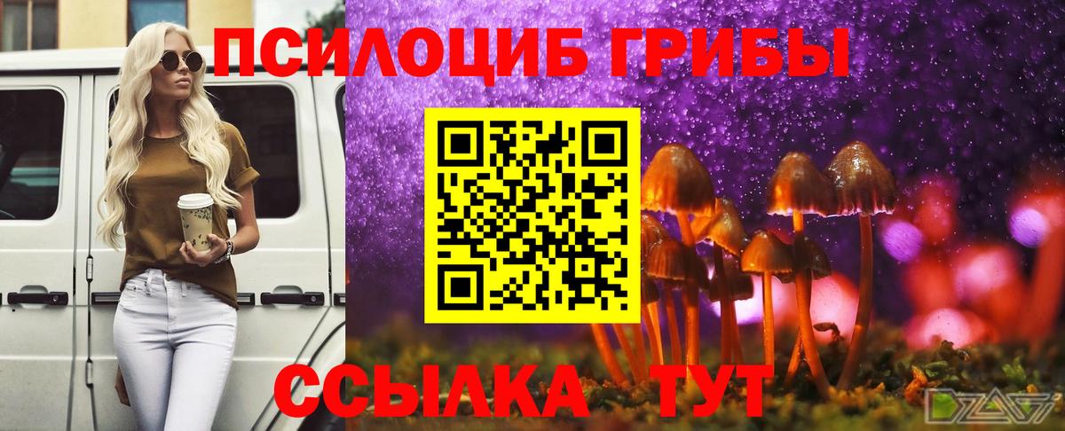 Псилоцибиновые грибы MAGIC MUSHROOMS  Галлюциногенные грибы ЛСД  Татарск  Вход с VPN 